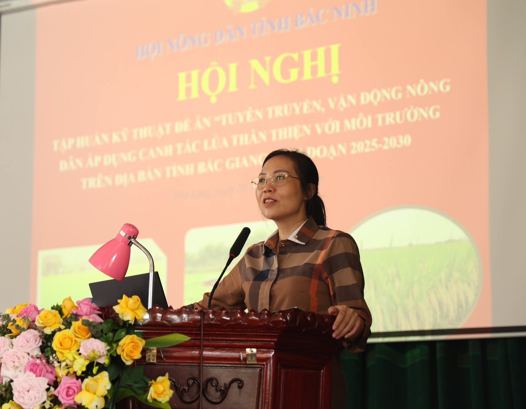 Phu lang