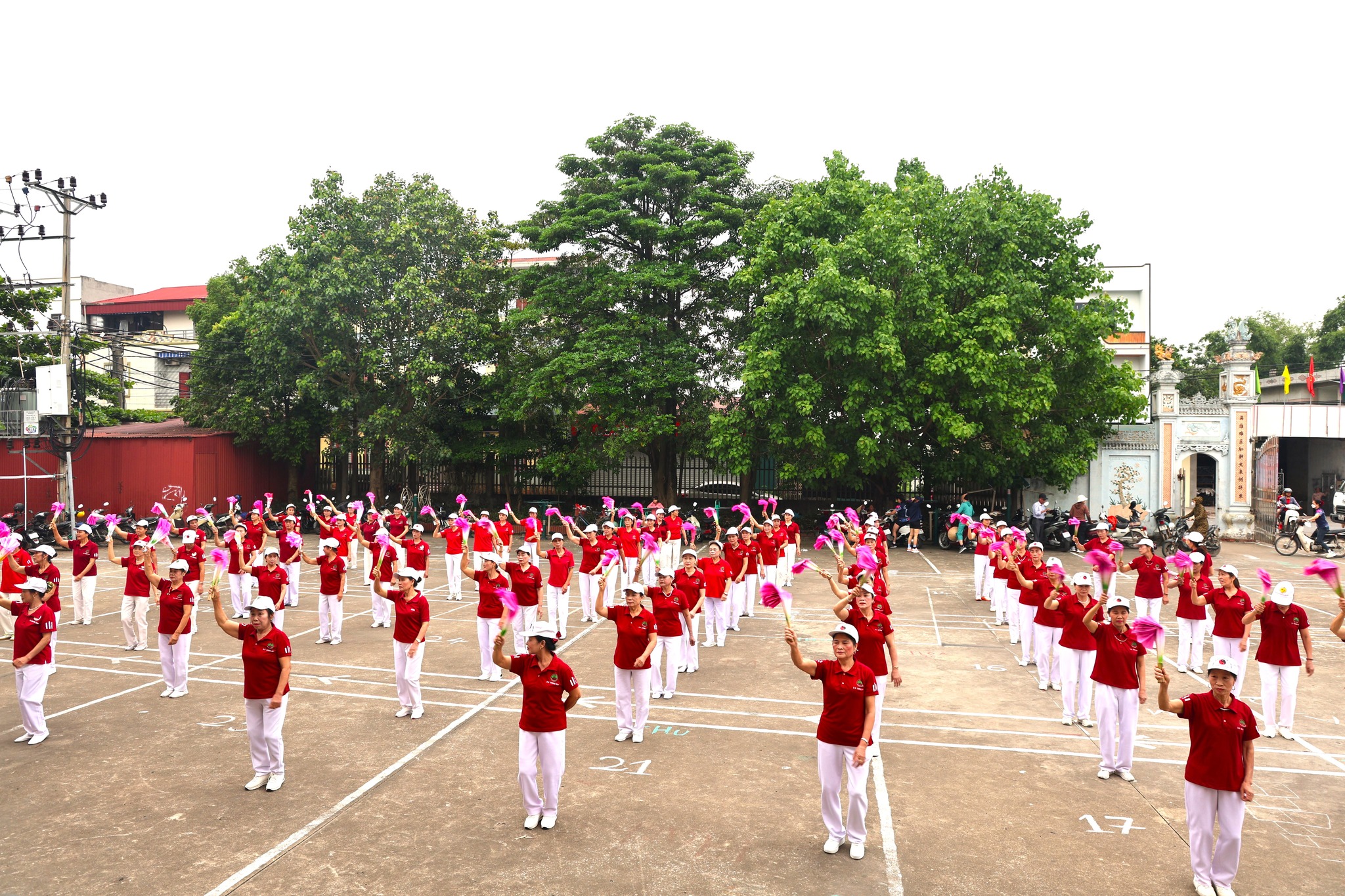 phu lang-nguoi cao tuoi-duong sinh